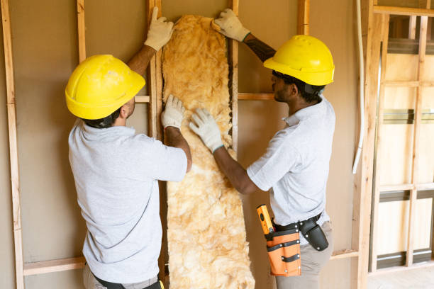 Best Attic Insulation Near Me  in Wrightsville, AR